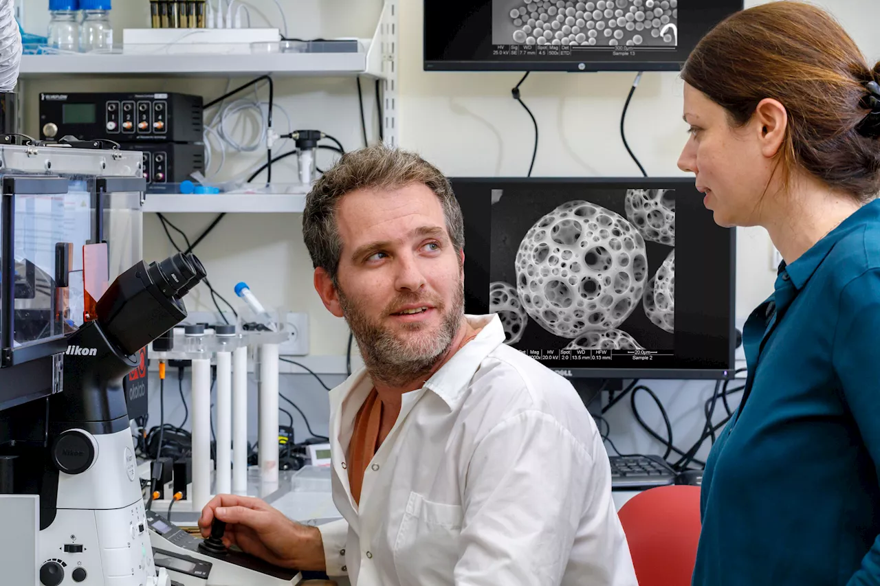 Novel method combines nano informatics and AI for advances in cancer prediction