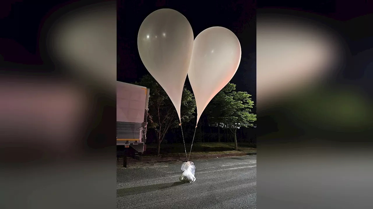 Nordkorea schickt Ballons mit Exkrementen nach Südkorea