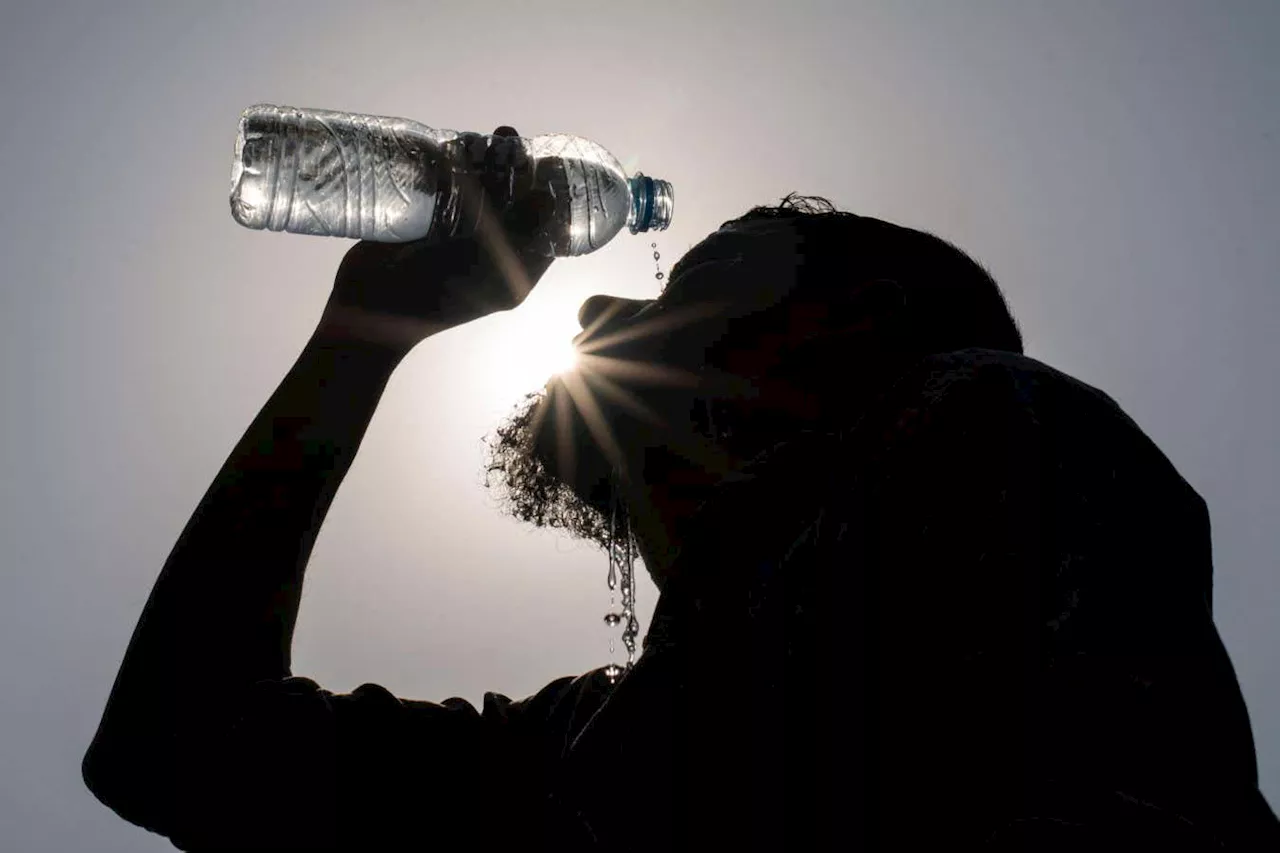Don't be fooled by El Nino's end – net zero is more urgent than ever