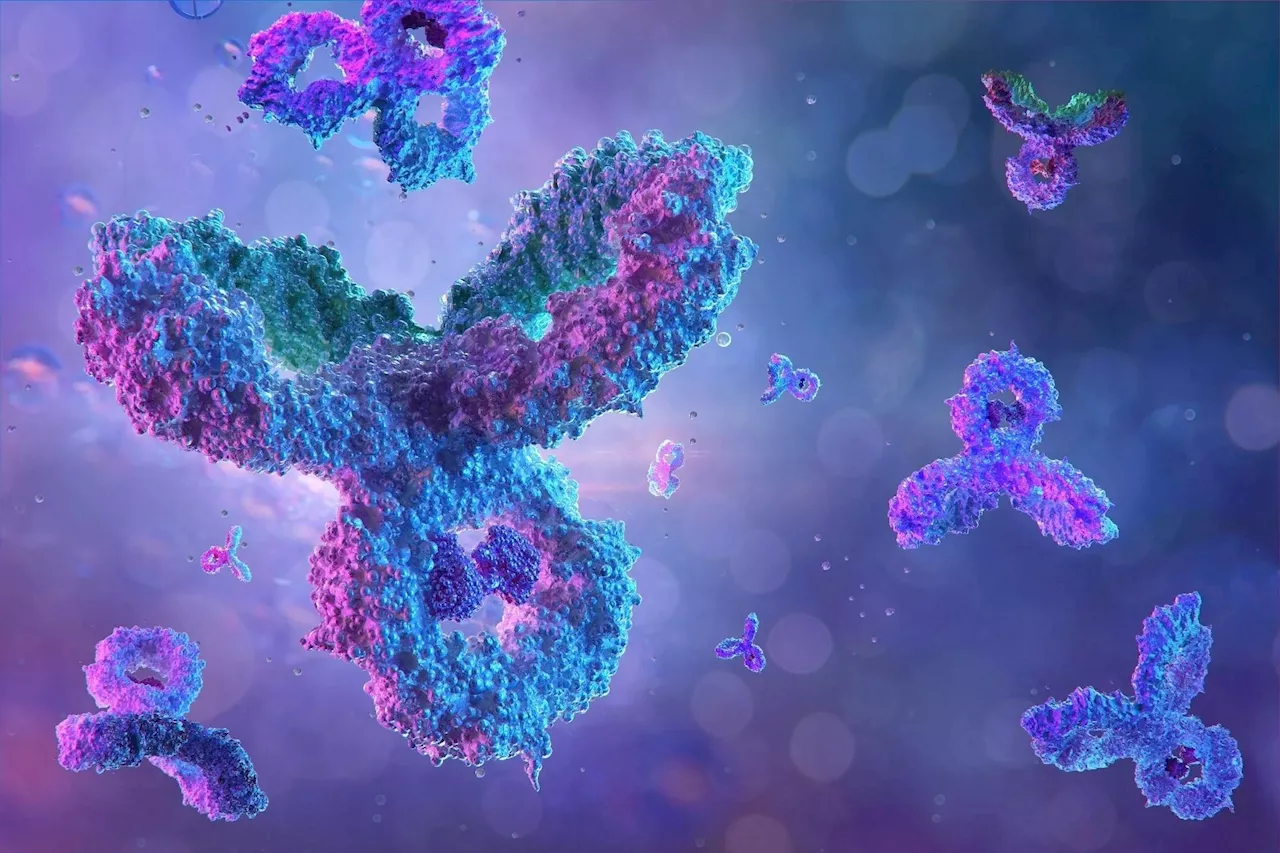 Exploring the role of protein barcodes and Next-Generation Protein Sequencing™ for protein conformation high-throughput mapping