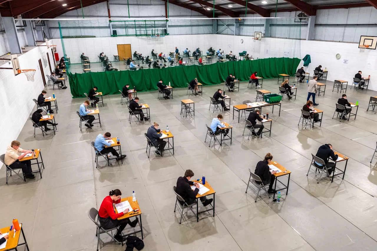Do you need a good Leaving Cert to succeed in life?