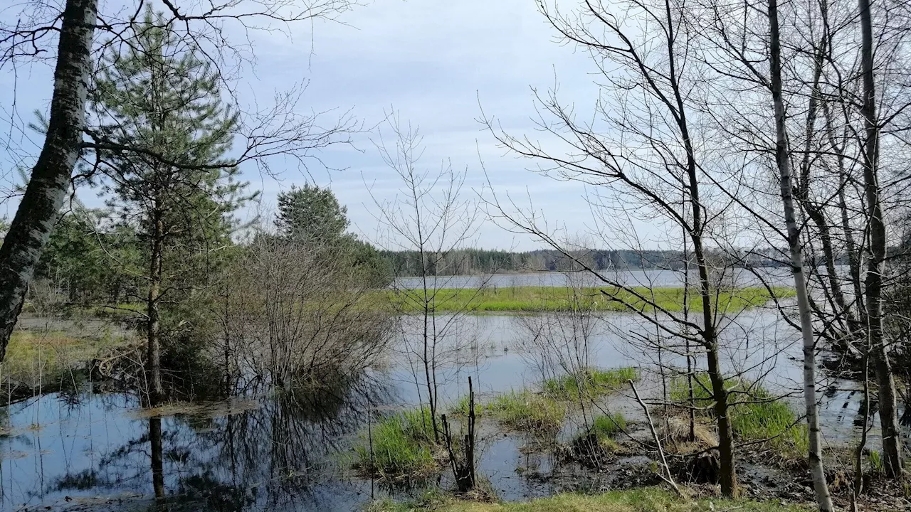 Eine Runde, neun Teiche: Unterwegs auf der Teiche-Radroute