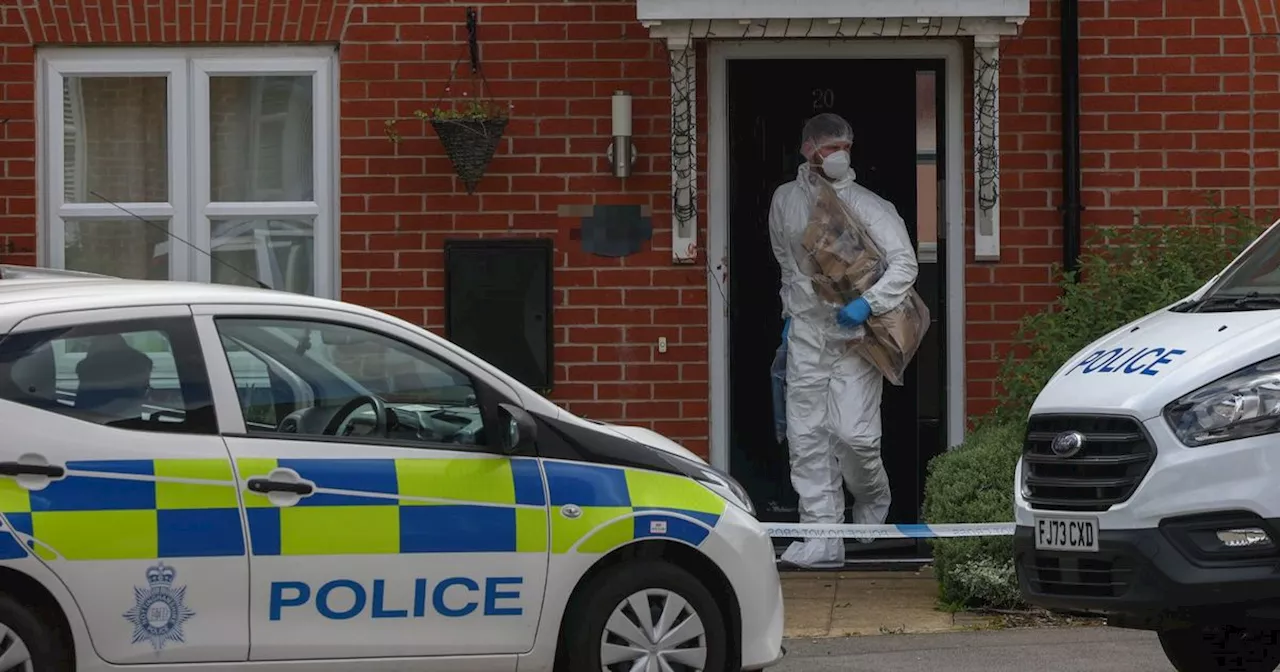 'Large police presence' as forensics search house after stabbing