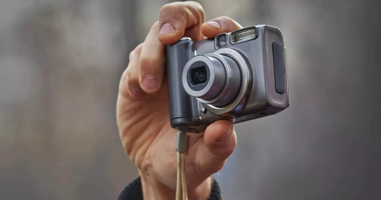 Less Than Half of All Japanese Households Own a Digital Camera