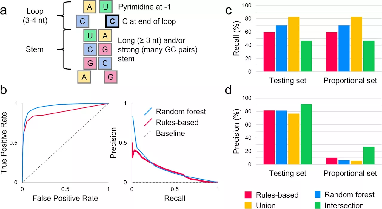 Researchers find RNA editing sites likely play a more significant role in genetic disease