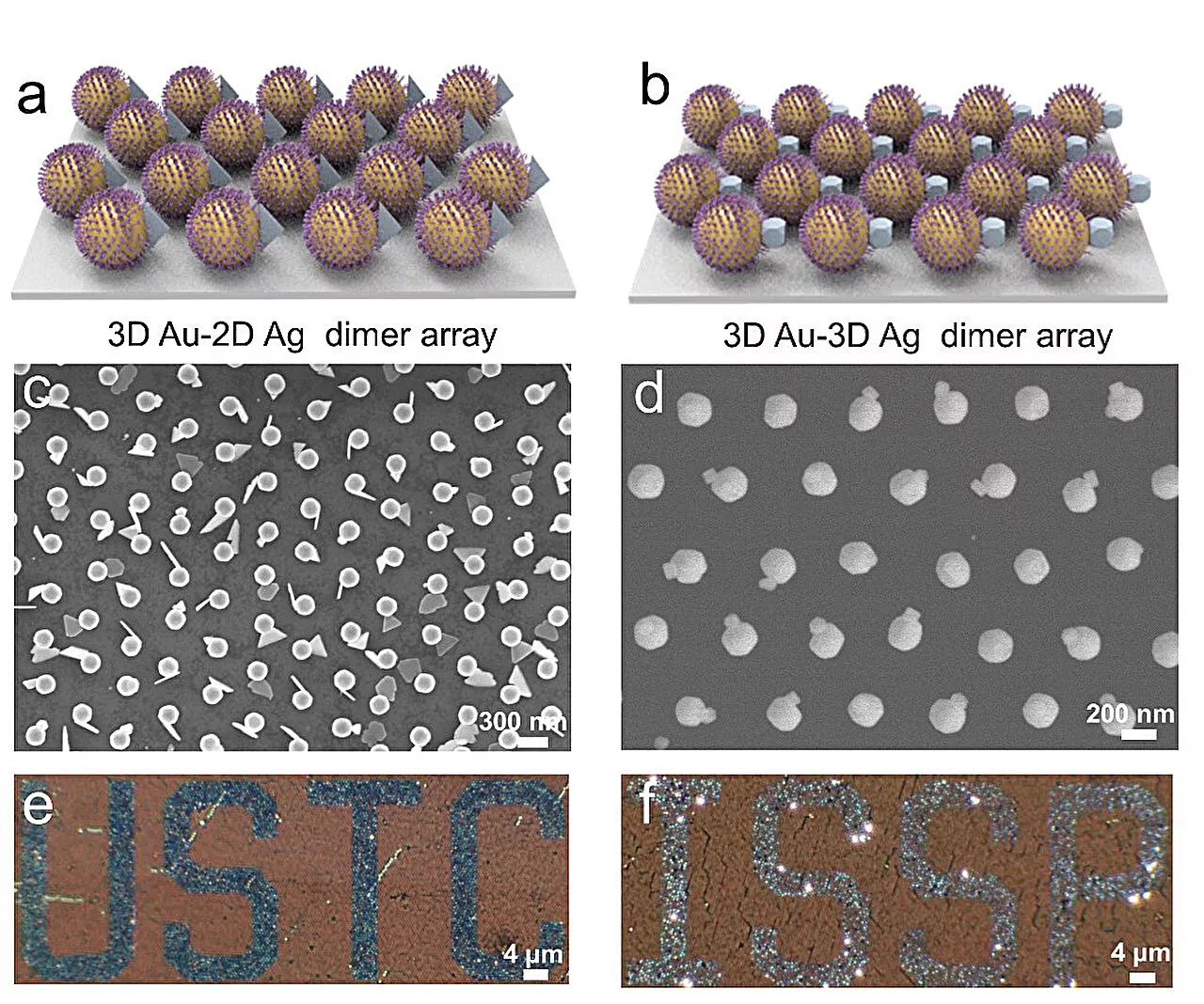 Researchers realize controlled synthesis of Au-Ag heterodimer arrays for high-resolution encrypted information