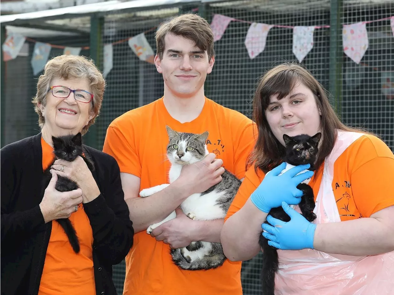 'We hate saying no': Volunteer-run cat rescue organisation in urgent appeal for help