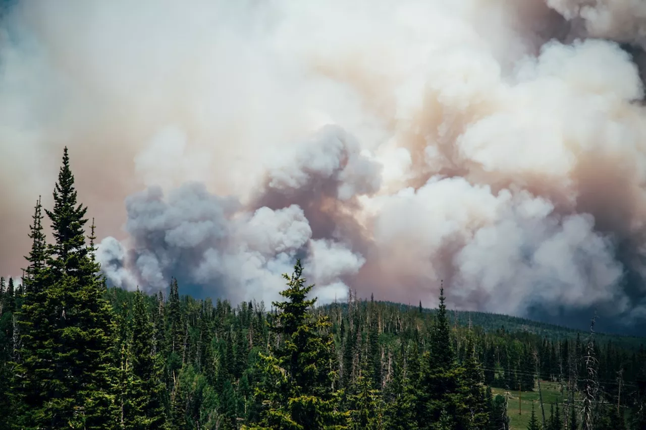 Last wildfire of note now under control, according to MNR