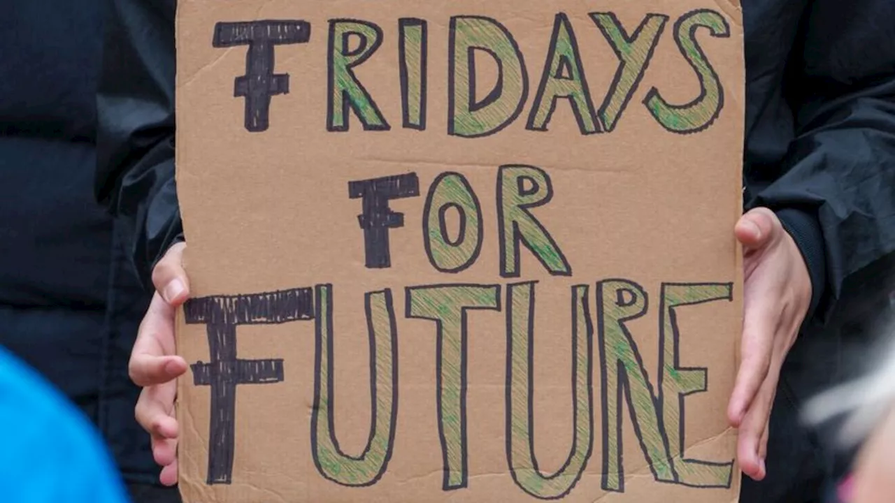 Klima: Fridays for Future ruft vor Europawahl zu Klimastreiks auf