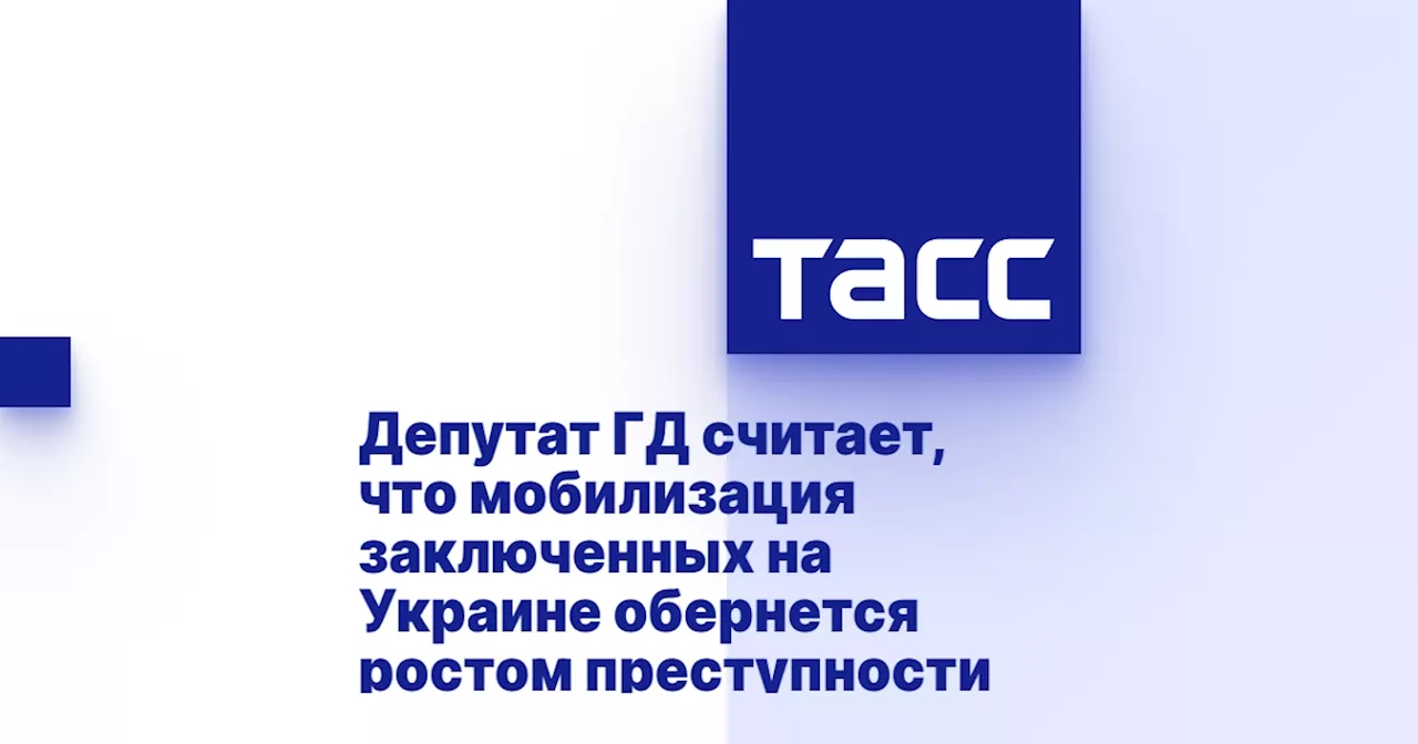 Депутат ГД считает, что мобилизация заключенных на Украине обернется ростом преступности