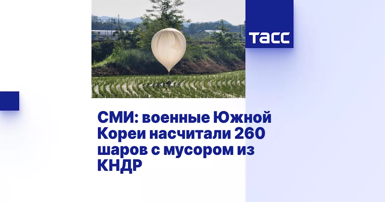 СМИ: военные Южной Кореи насчитали 260 шаров с мусором из КНДР