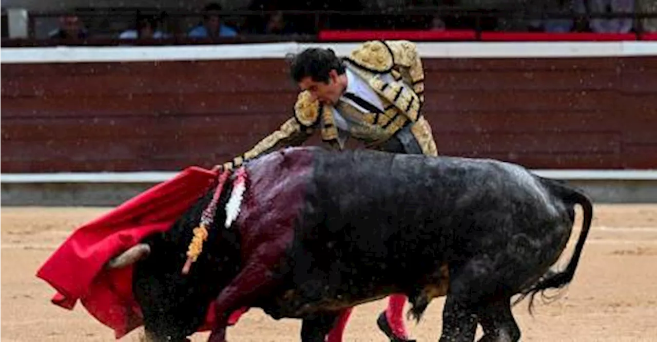 Bill on bullfighting ban passed in Colombia