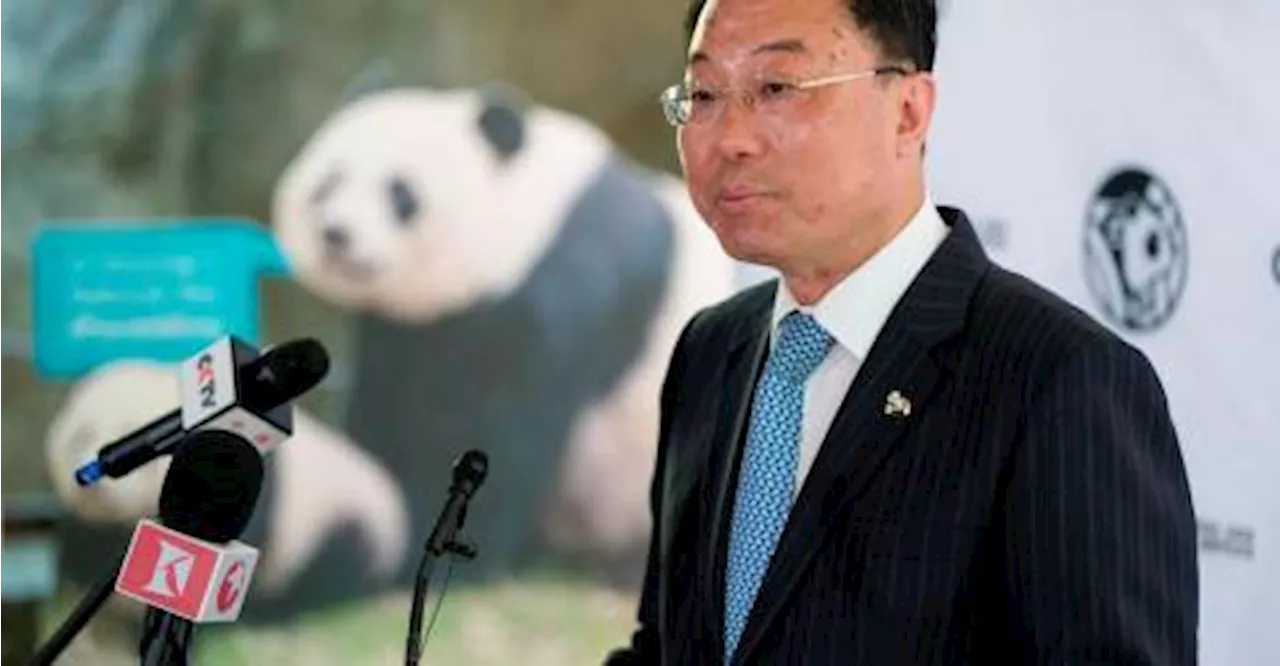 China to send two pandas to the US later this year