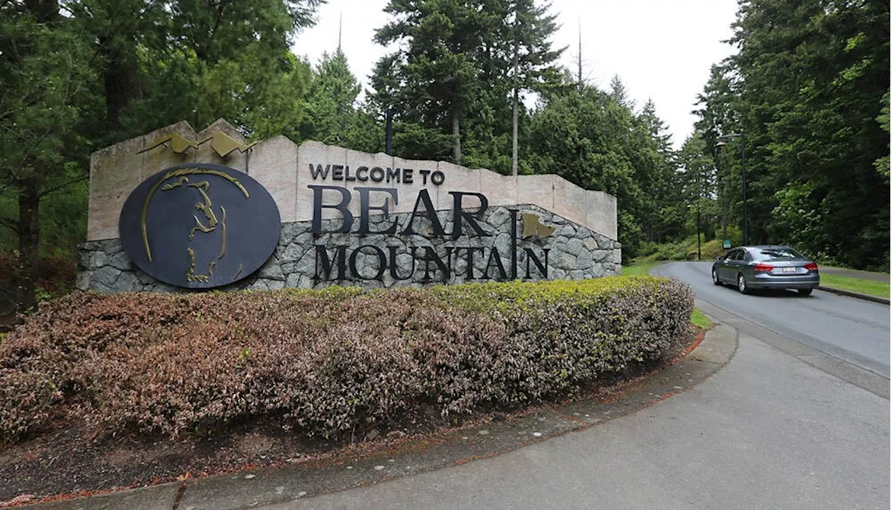 Bear Mountain court filings cloud future operations