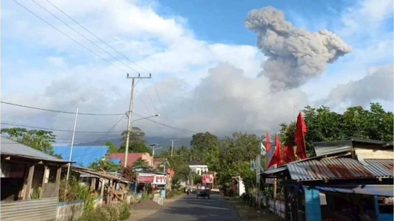 Lebih dari Dua Ribu Warga Halmahera Dievakuasi akibat Erupsi Gunung Ibu, Menurut BNPB