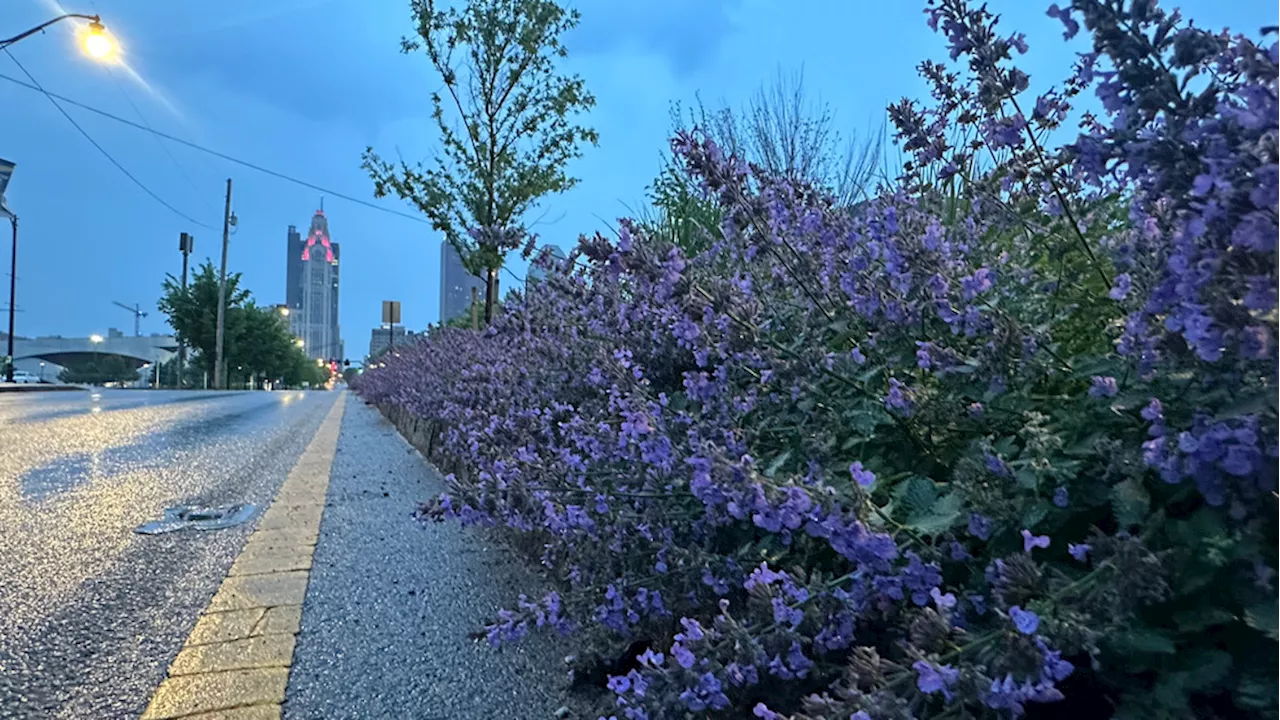 Columbus Weather: Scattered showers on tap Wednesday