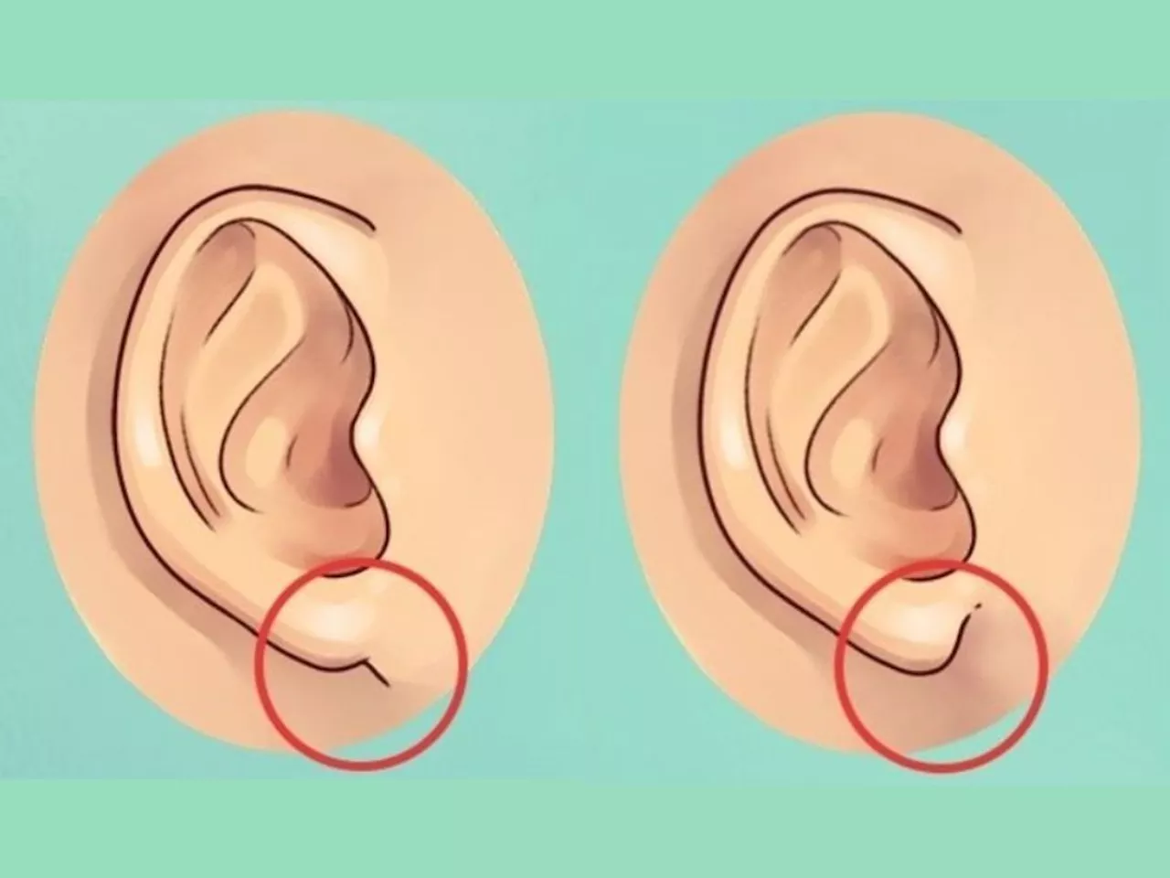 Earlobes Hidden Personality Traits : कानाच्या पाळीनं ओळखा लोकांचं व्यक्तीमत्त्व!