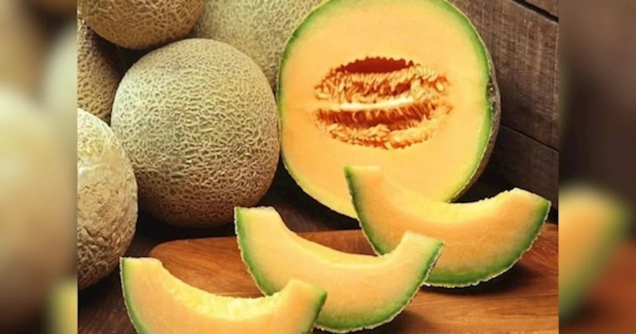 Muskmelon: सिर्फ छूकर ही पता चल जाएगा खरबूज मीठा है या फीका, ये टिप्स आएंगे काम