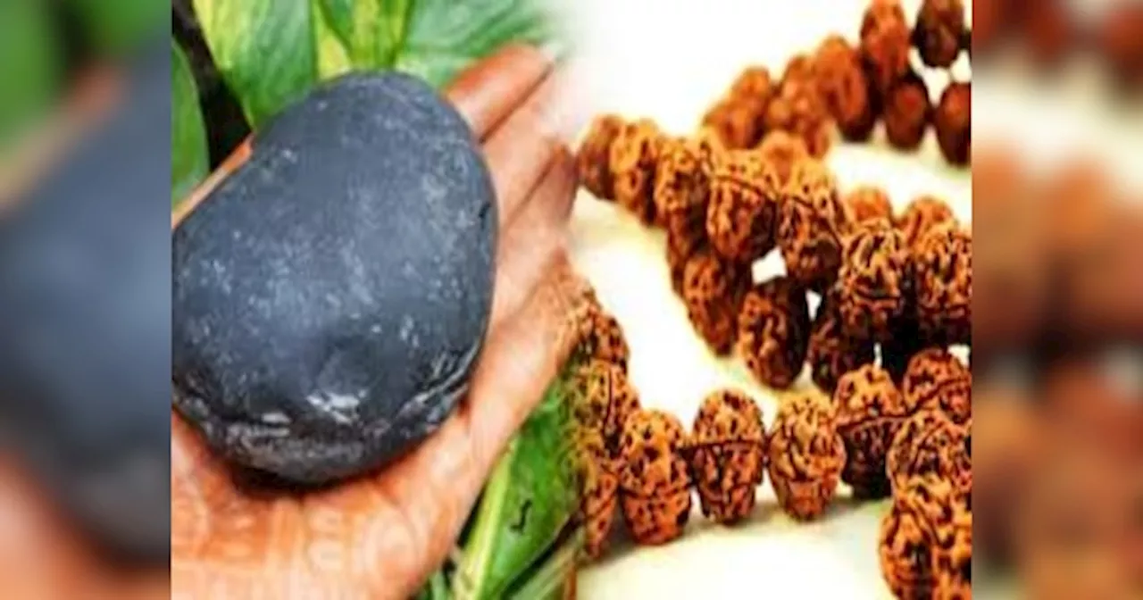 Shaligram Puja Niyam: घर में शालीग्राम रखने से पहले इन बातों को जान लेना है बेहद जरूरी, वरना पड़ सकता है भारी