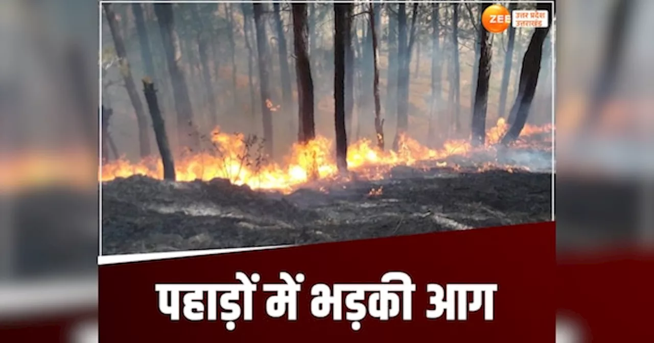 Uttarkashi Fire: उत्तरकाशी के जंगलों में फिर भड़की आग, ऊंची लपटों में जिंदा जल गए कई जानवर