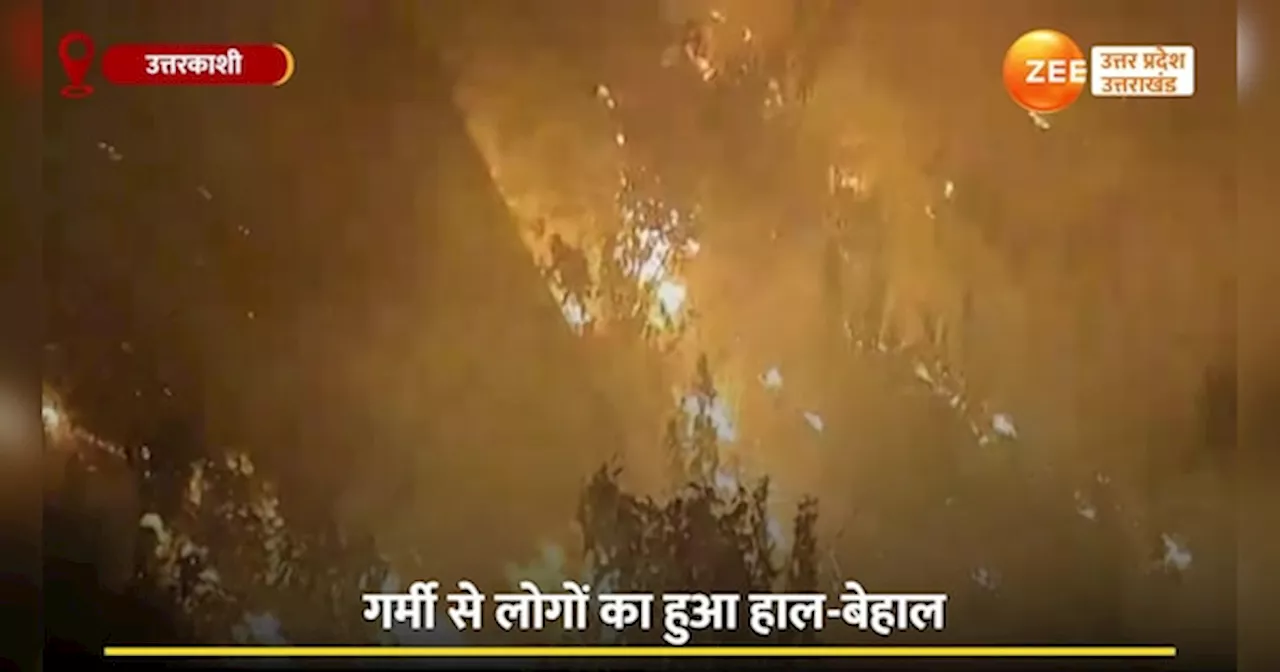 Uttarakhand Forest Fire: फिर सुलगने लगे जंगल, क्या ऐसे ही धधकती रहेगी देवभूमि?