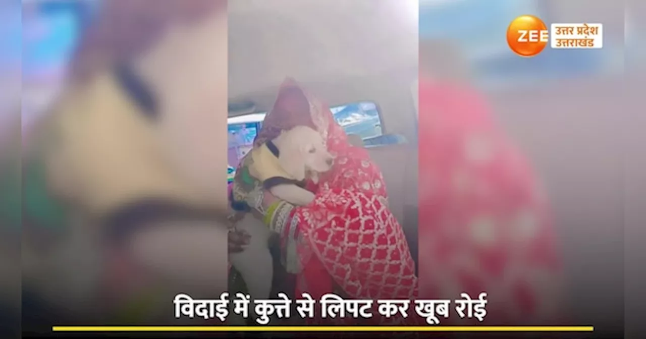 Video: विदाई में कुत्ते से लिपटकर फूट-फूट कर रोई दुल्हन, वीडियो देख इमोशनल हुए लोग