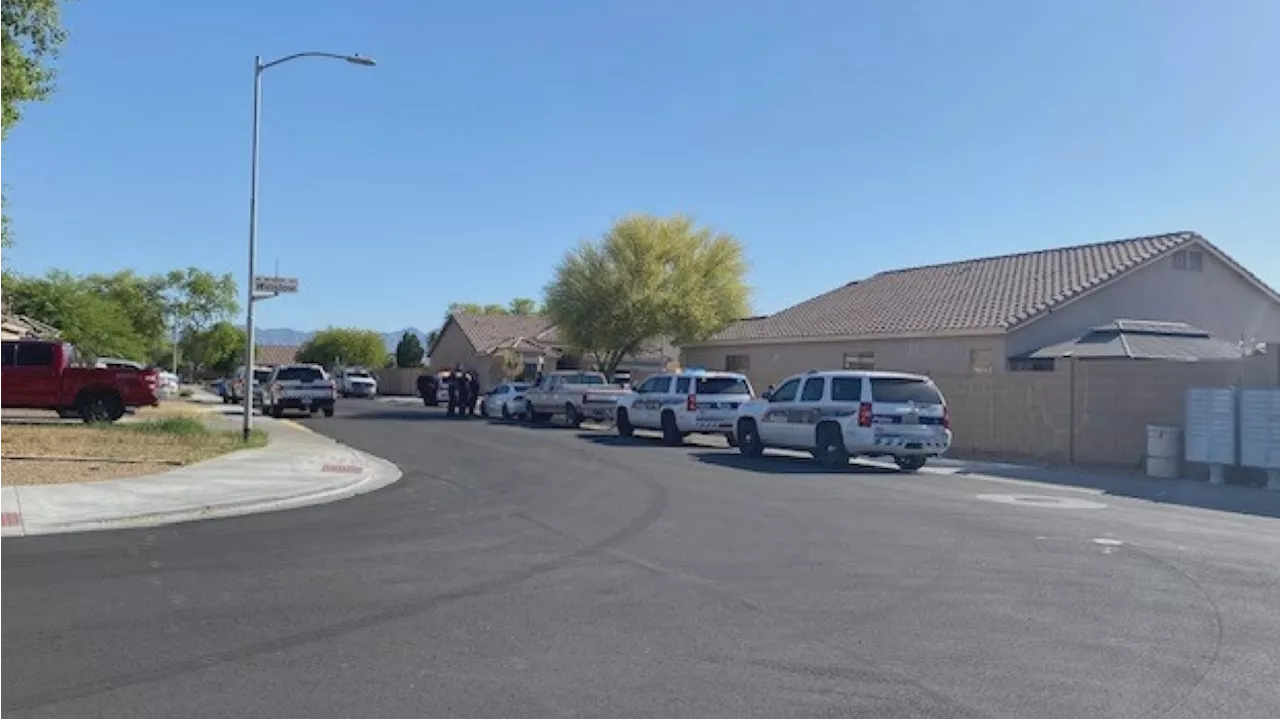 2 toddlers die after being pulled from Phoenix pool