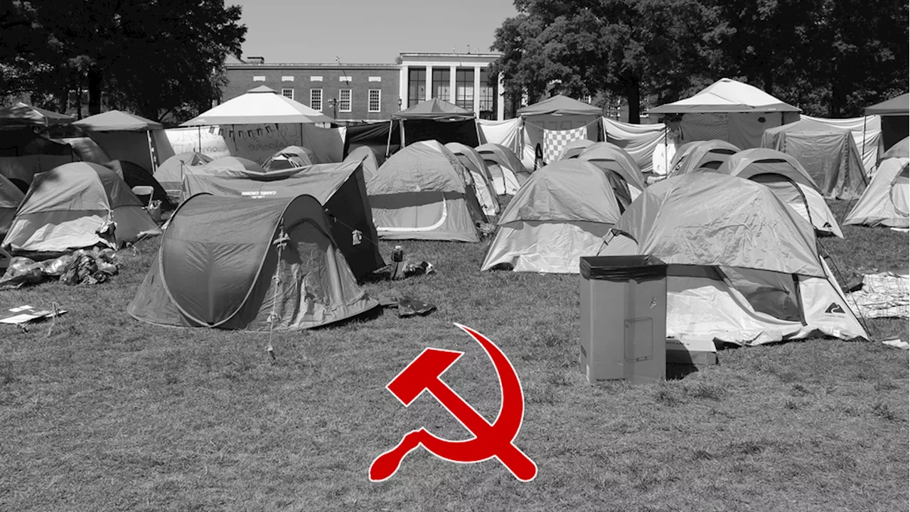 Examining the communist, anarchist ideas fueling anti-Israel campus encampments