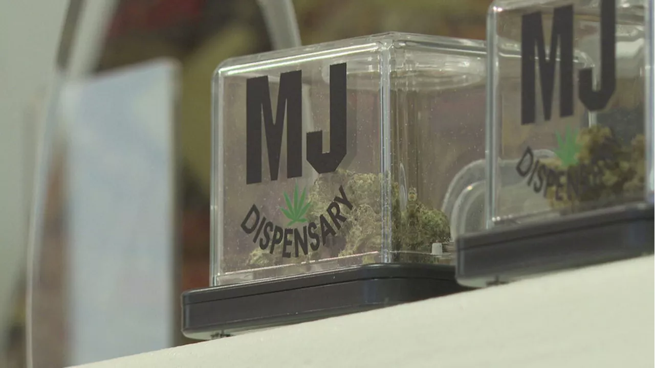 Rochester dispensary owners react to potentially historic cannabis rescheduling by D-E-A