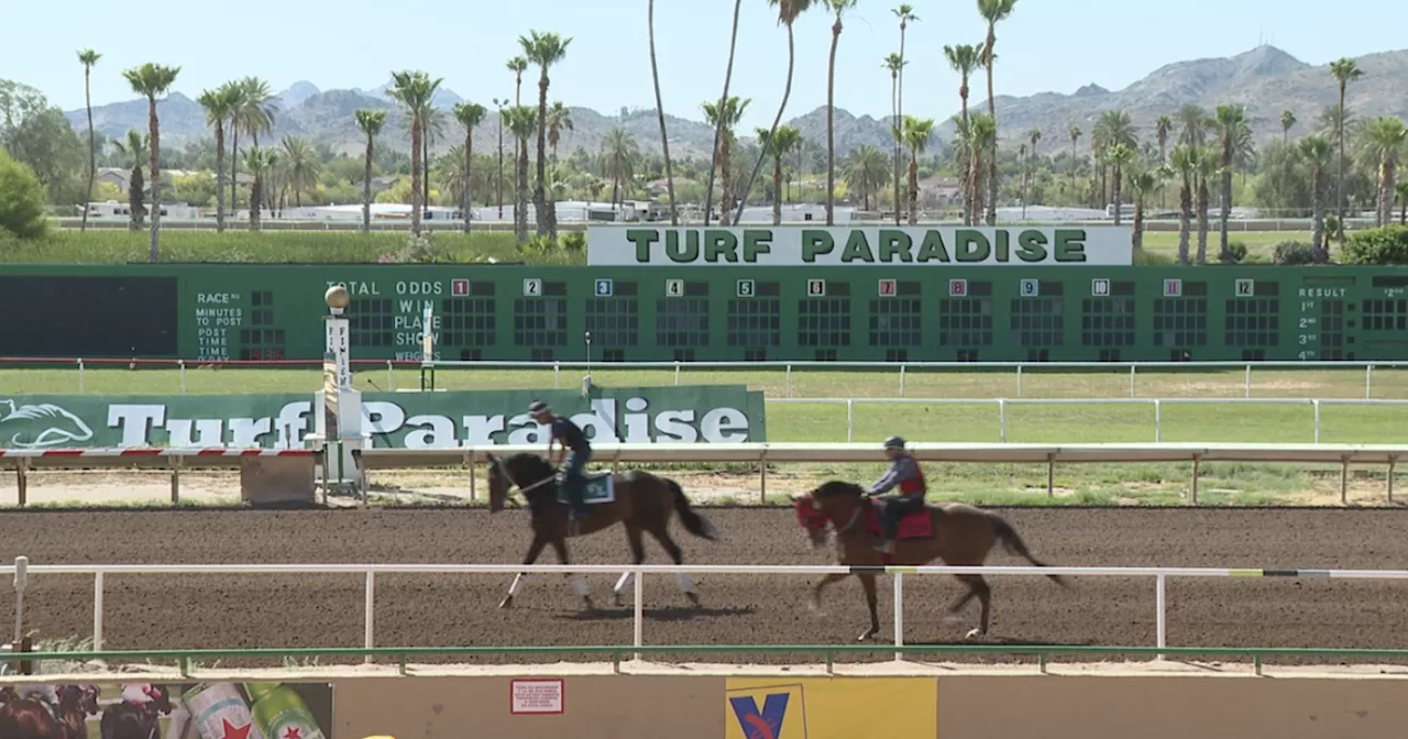 Ahead of last live racing for the season, Turf Paradise looks to keep track open