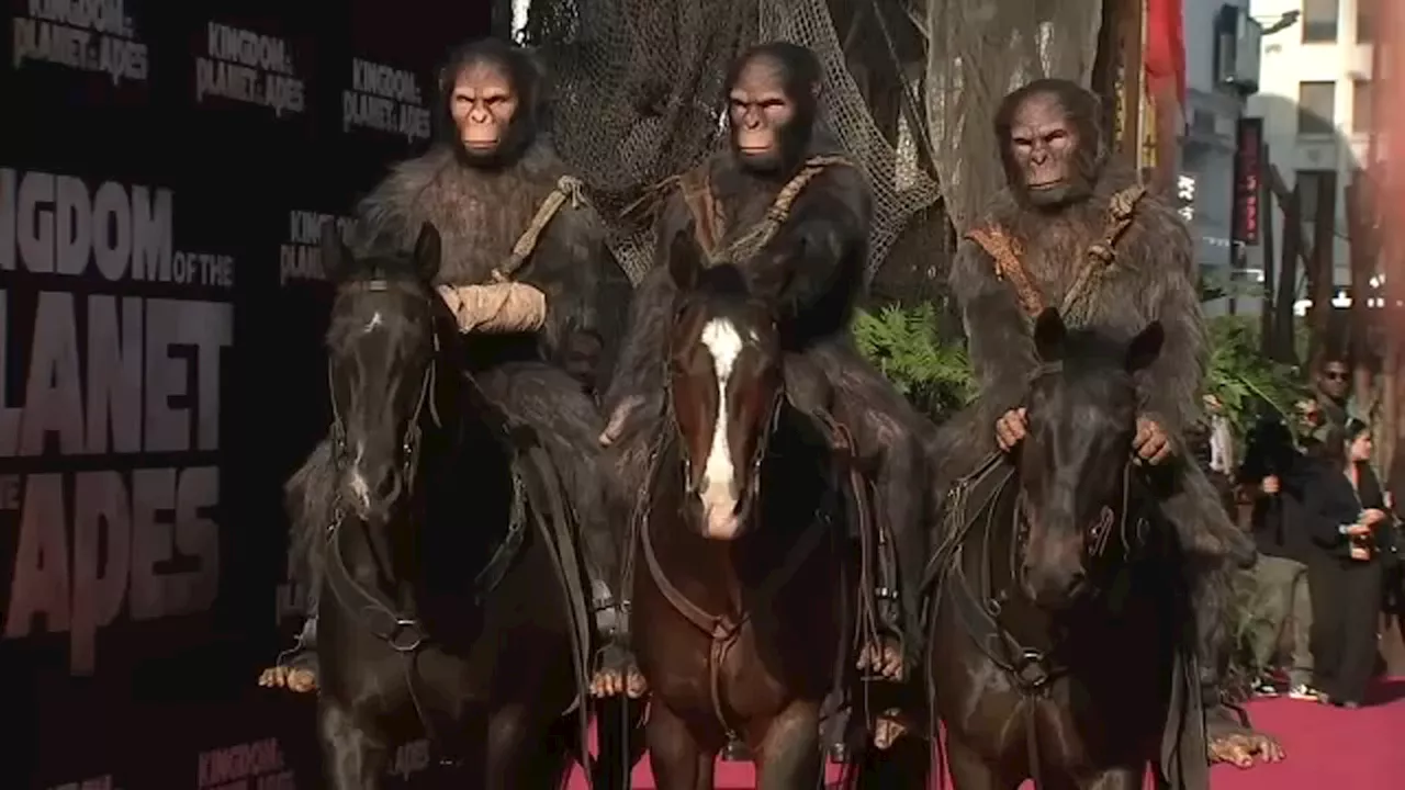 Apes ride into Hollywood for premiere of new film 'Kingdom of the Planet of the Apes'