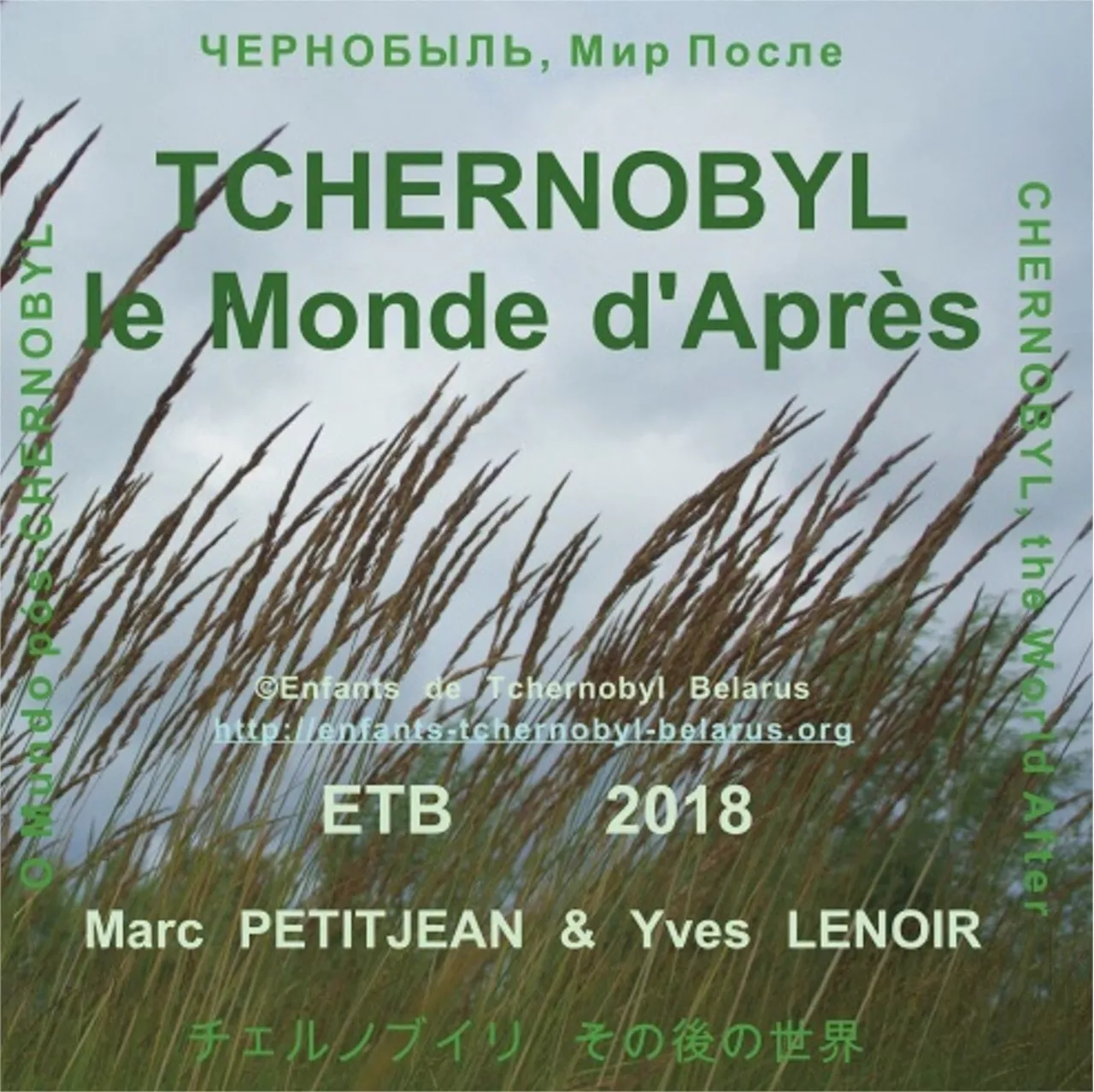 Un ciné-débat au cinéma de La Flèche, autour de 'Tchernobyl, le monde d'après'