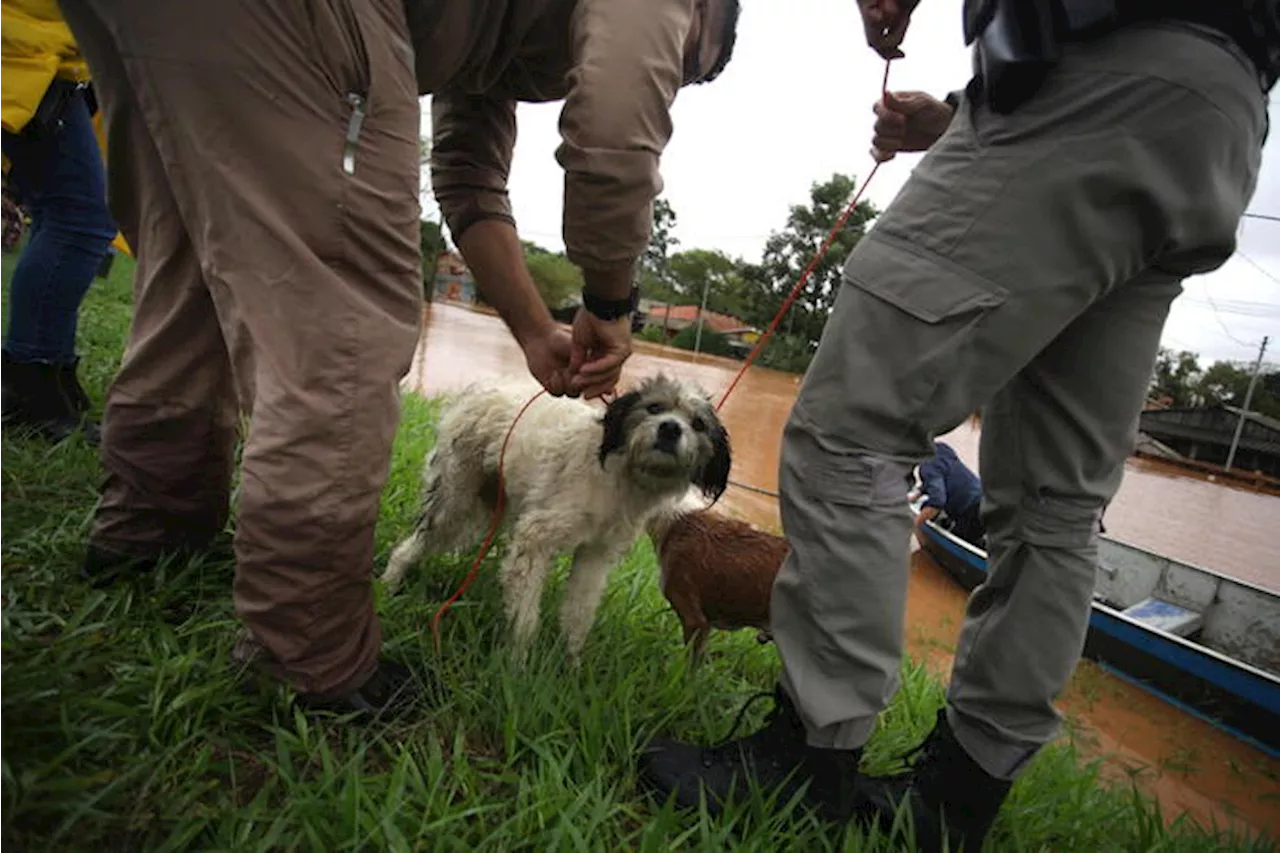 Brasil: 'Cenas apocalípticas' devastam Serra Gaúcha