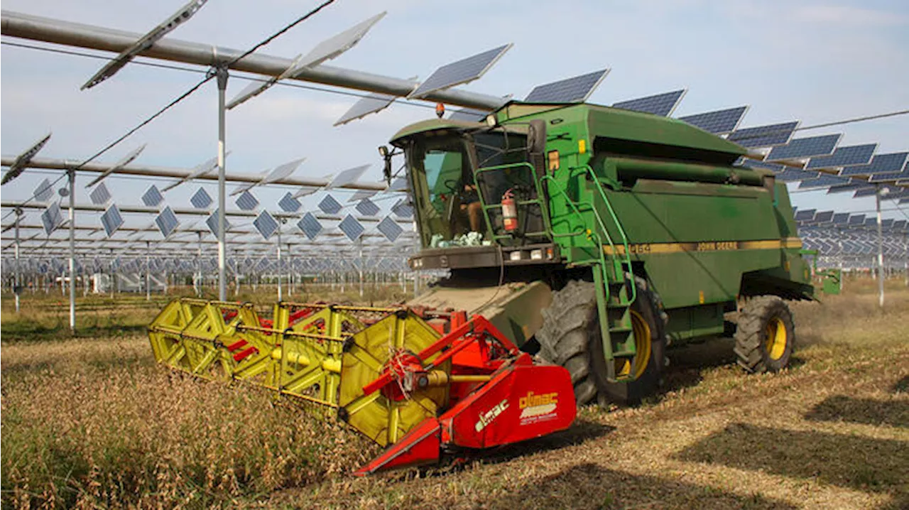 Italia Solare, 'l'agrivoltaico non danneggia l'agricoltura'