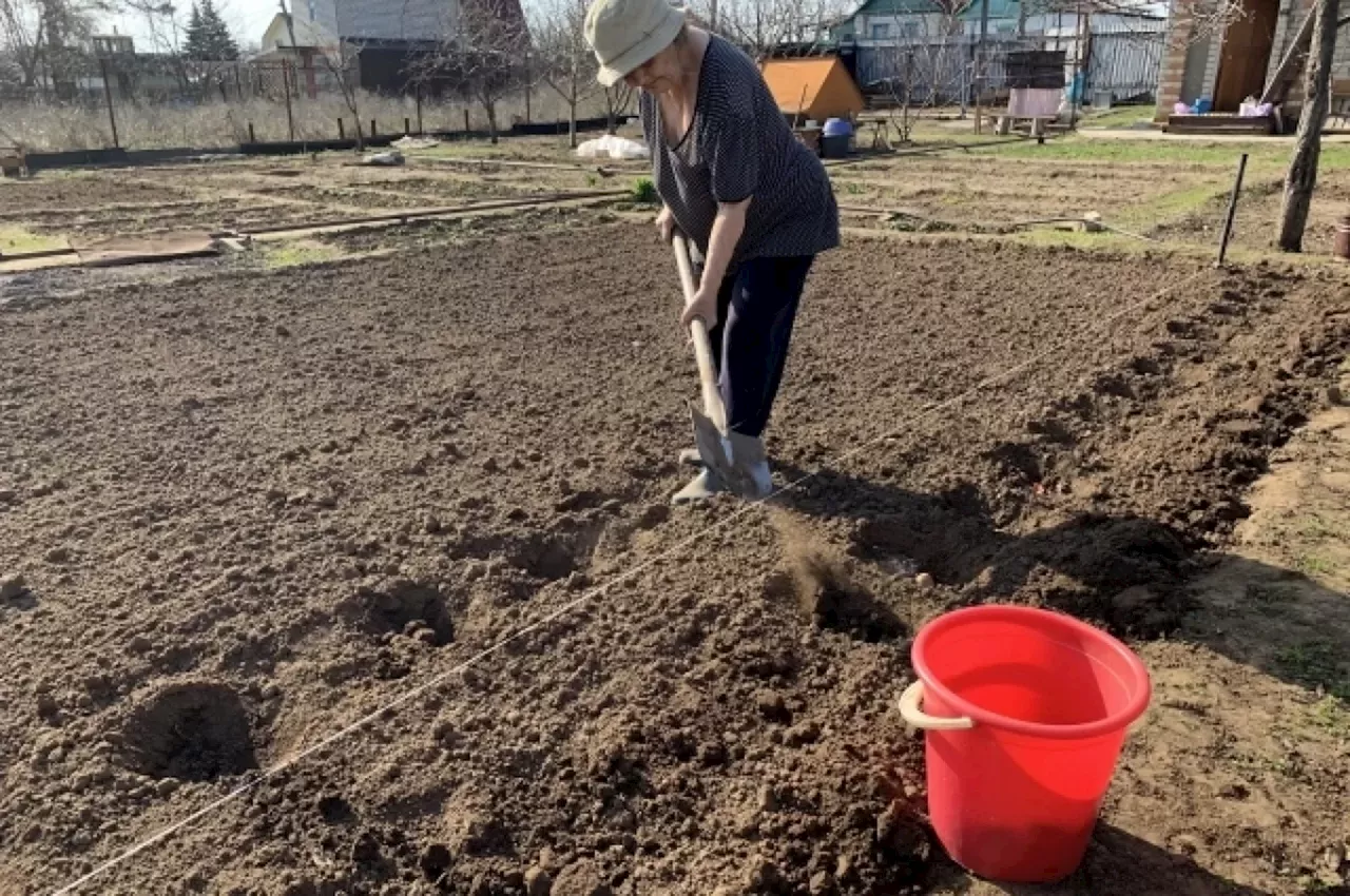 5 простых советов. Врач рассказал, как избежать травм в саду и огороде