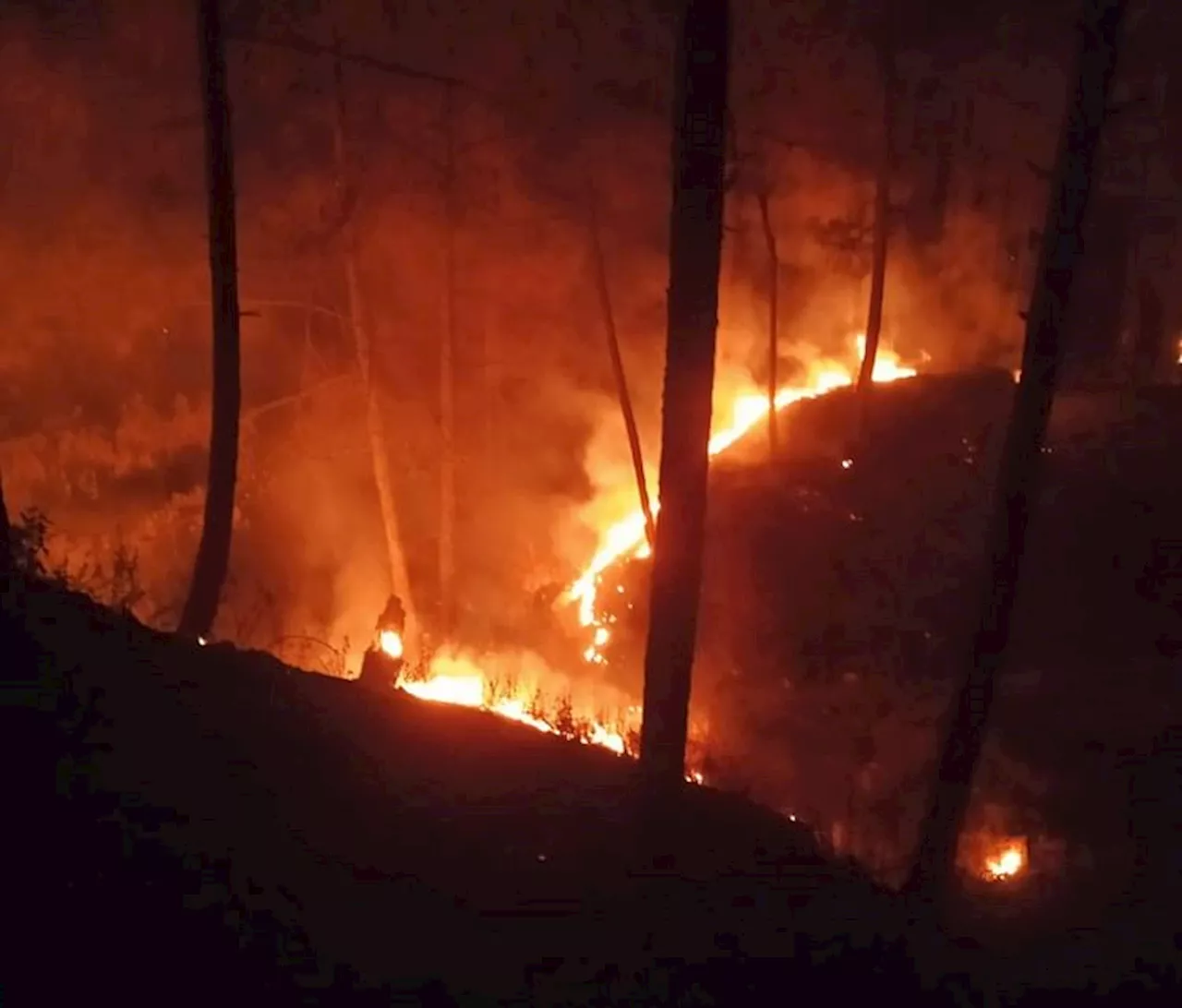 उत्तराखंड में बेकाबू हो रही आग: 24 घंटे में 64 जगह धधके जंगल, दो की मौत, सीएम धामी ने बुलाई हाई लेवल मीटिंग