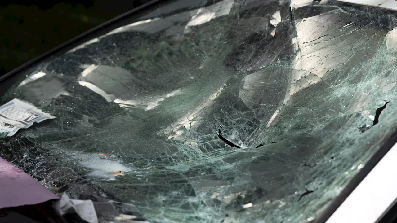 Police detain driver who accelerated toward protesters at Portland State University in Oregon