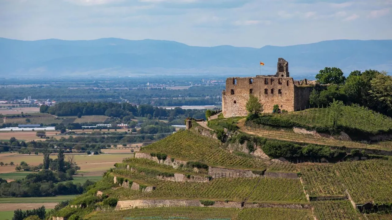 Wände von Burg Staufen mit Hakenkreuzen beschmiert