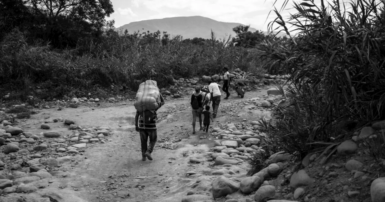 Reportan desplazamientos de campesinos en la Sierra Nevada de Santa Marta