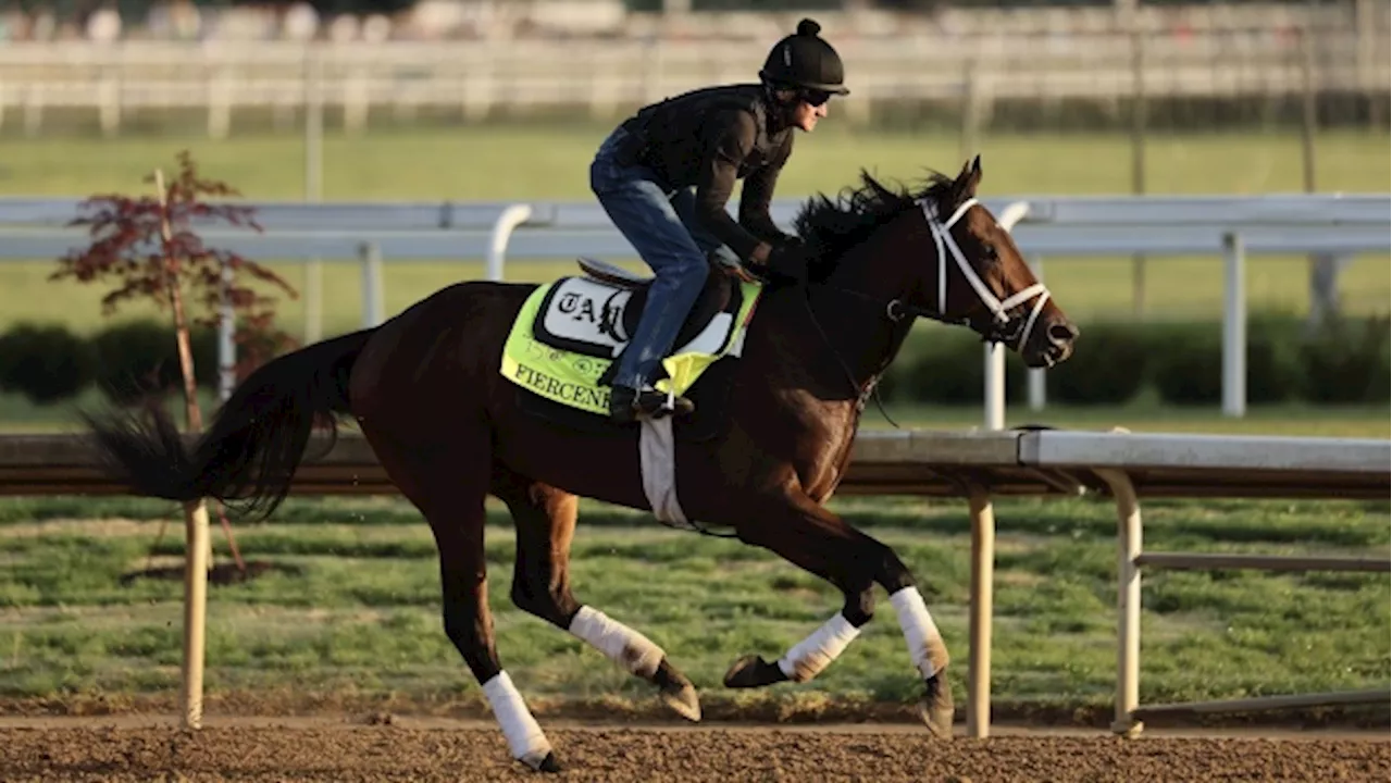 The Kentucky Derby Is a Two-Horse Race: David Papadopoulos