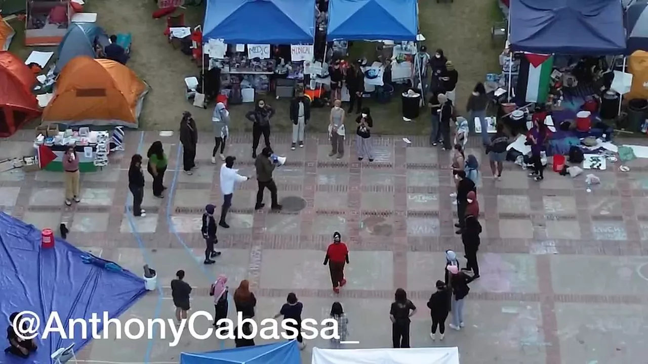 Footage shows UCLA protesters combat training before cops swooped