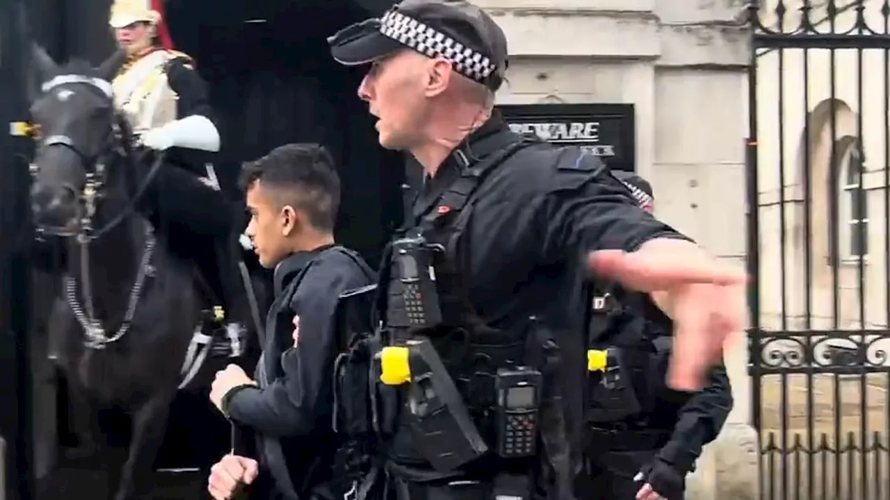 Moment armed police arrest TikToker poking microphone at King's Guard