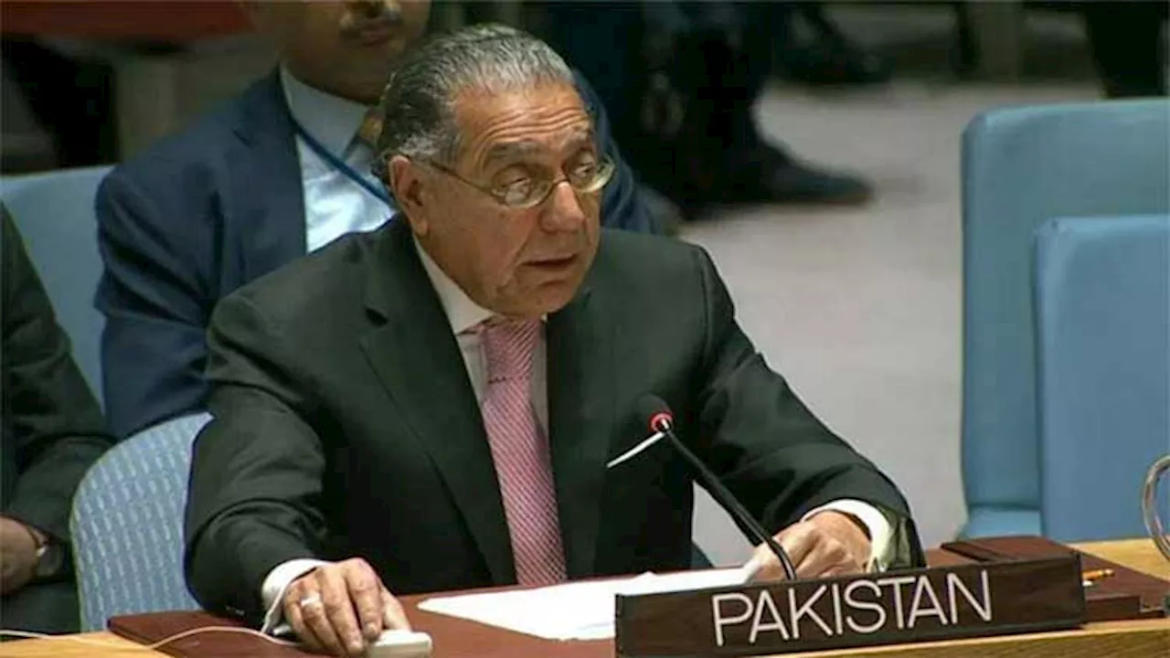 Pakistan slams Indian atrocities against minorities, Kashmiris at UN