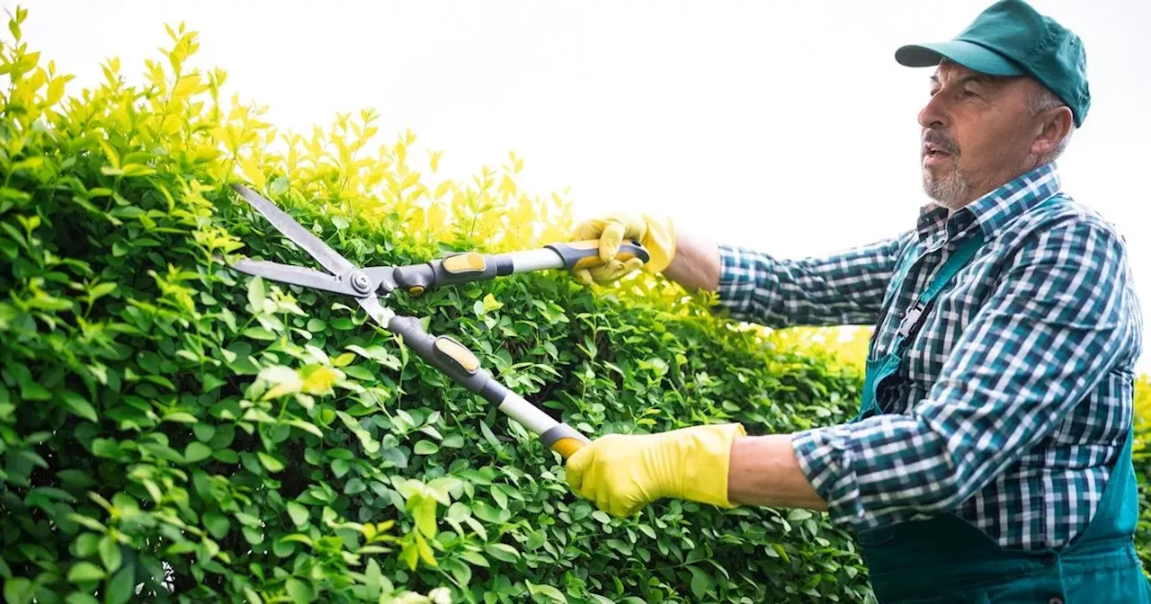 Urgent warning to gardeners over jail time and 'unlimited fine'