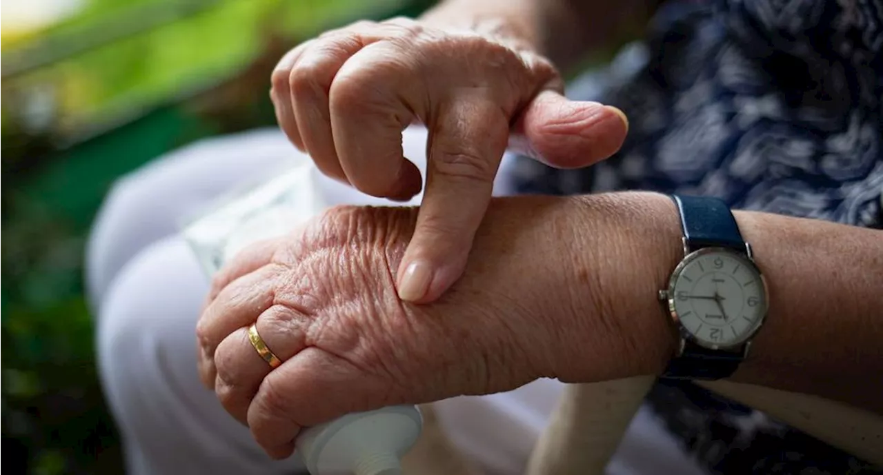 El delicioso condimento que debes agregar a tus comidas porque ayuda a prevenir la artrosis