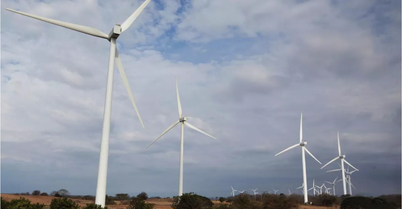 Siete países ya producen el 100% de su energía con fuentes renovables, ¿cuáles son?