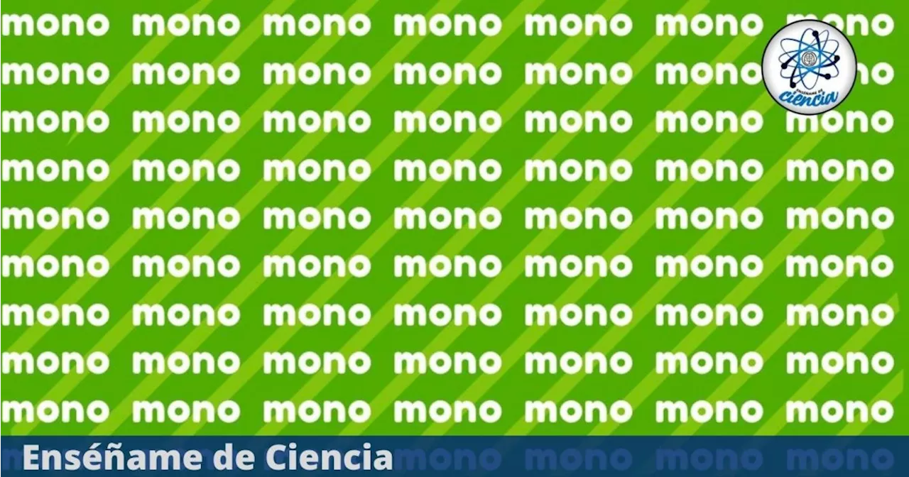 Acertijo de MÁXIMA DIFICULTAD: Encuentra la palabra “mano” entre las palabras “mono”; el 92% falló