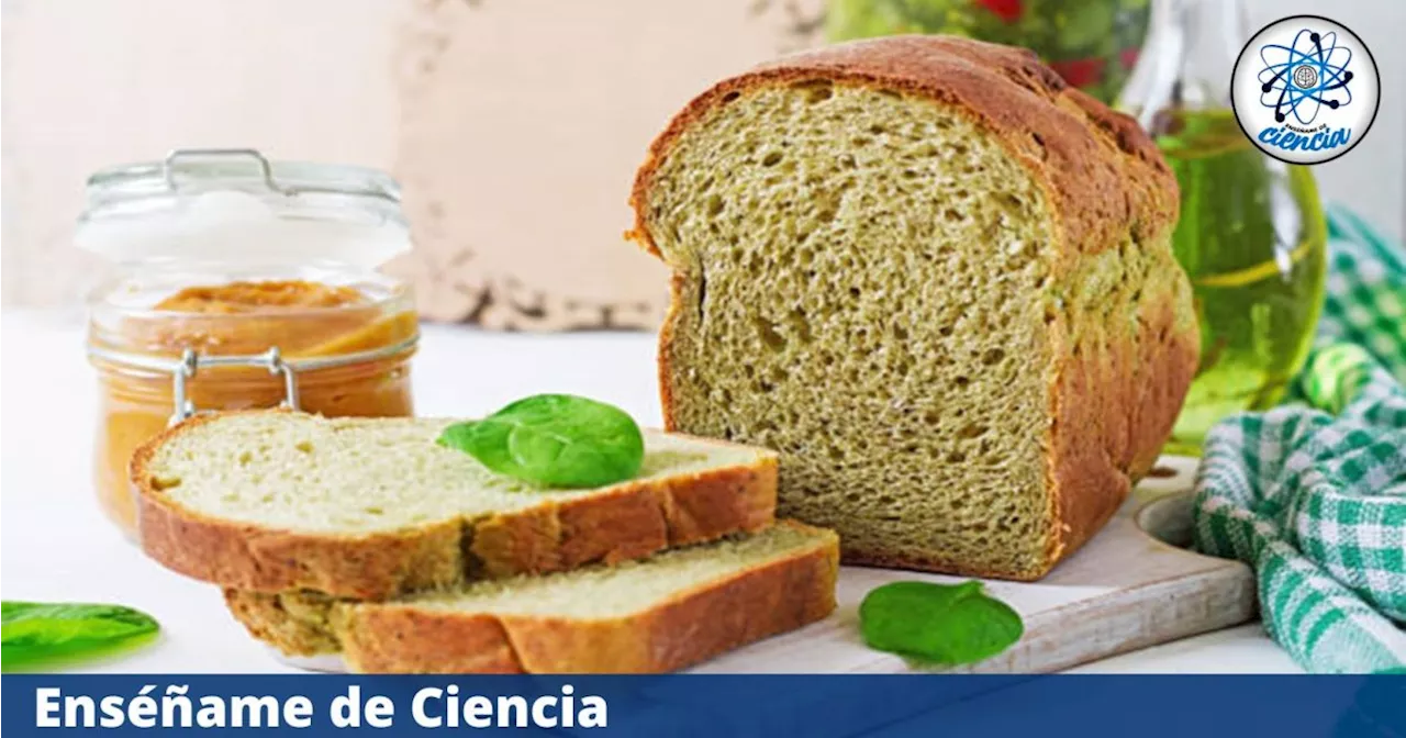 Prepara con esta sencilla receta un pan de brócoli SIN gluten, un pan muy saludable y delicioso