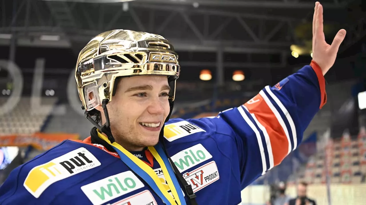 Officiellt: Erik Källgren klar för Brynäs