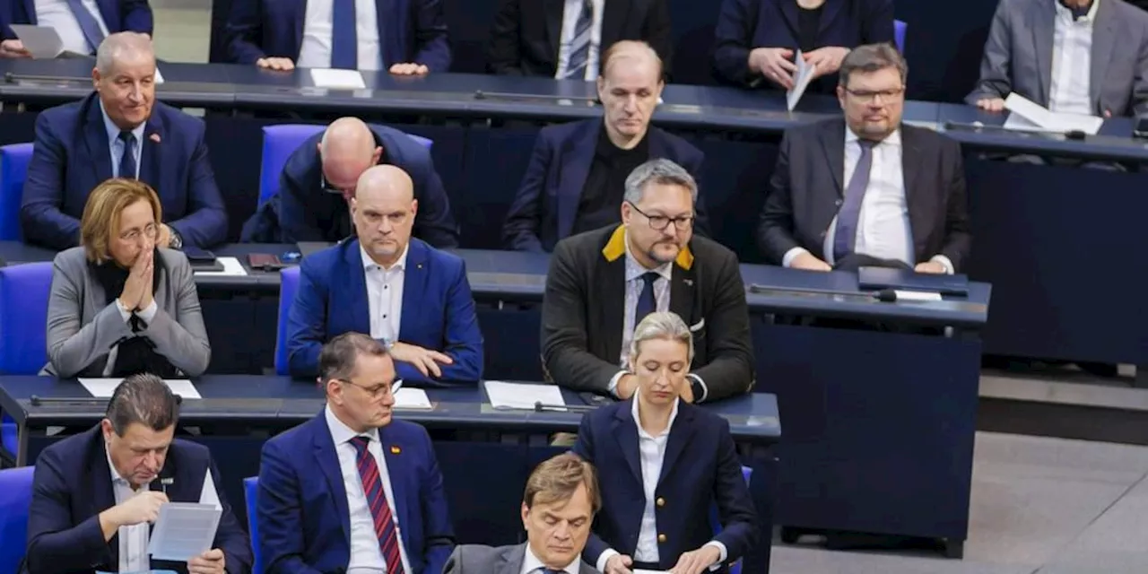 Interne AfD-Papiere zeigen auch im Bundestag Nähe zu China